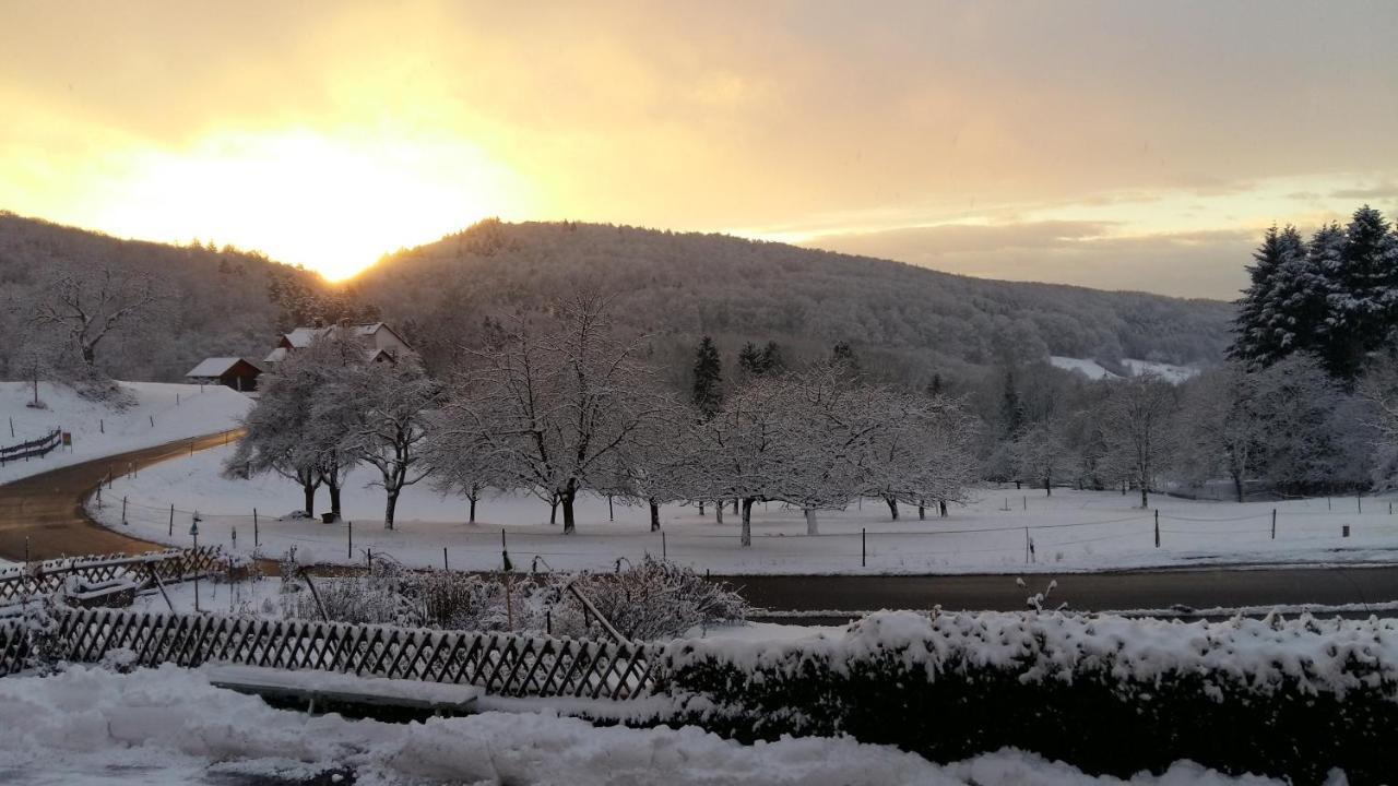 Landgasthof Gruener Baum Badenweiler Exterior foto